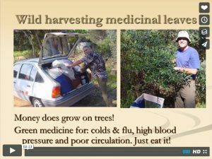 Nature Fresh begins in 1996